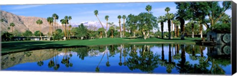 Framed Reflection of trees on water, Thunderbird Country Club, Rancho Mirage, Riverside County, California, USA Print