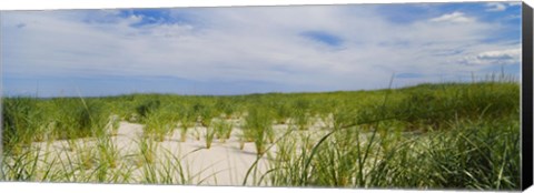 Framed Sand dunes at Crane Beach, Ipswich, Essex County, Massachusetts, USA Print