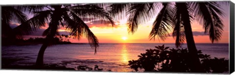 Framed Palm trees on the coast, Kohala Coast, Big Island, Hawaii, USA Print