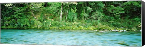 Framed Routeburn River near the Dart River and start of Routeburn Track and Mt Aspiring National Park, South Island, New Zealand Print