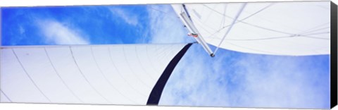 Framed Low angle view of sails on a Sailboat, Gulf of California, La Paz, Baja California Sur, Mexico Print