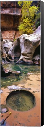 Framed Subway at Zion National Park, Utah, USA Print