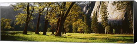 Framed Trees near the El Capitan, Yosemite National Park, California, USA Print