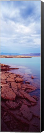 Framed Shore waters, Lake Mead, Nevada, USA Print