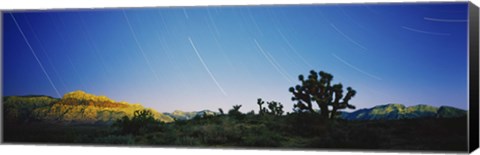 Framed Star trails over Red Rock Canyon National Conservation Area, Nevada, USA Print