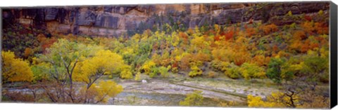 Framed Big Bend in fall, Zion National Park, Utah, USA Print