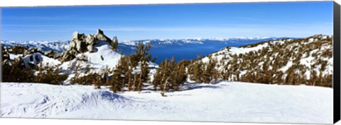 Framed Trees on a snow covered landscape, Heavenly Mountain Resort, Lake Tahoe, California-Nevada Border, USA Print