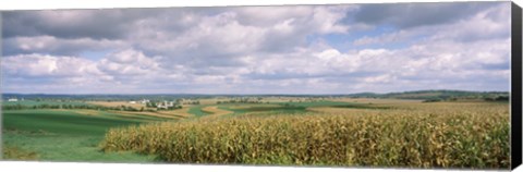 Framed Corn and Alfalfa Fields, Wisconsin Print