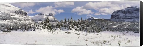 Framed Mountains with trees in winter, Logan Pass, US Glacier National Park, Montana, USA Print