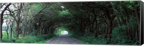 Framed Road Through Trees Marion County, Illinois, USA Print