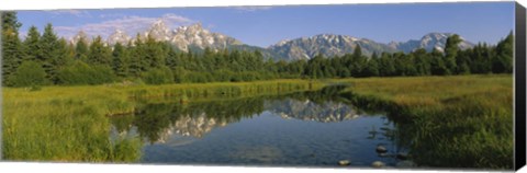 Framed Grand Teton National Park, Wyoming Print