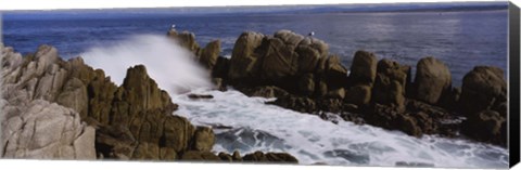 Framed Rock formations in water, Pebble Beach, California, USA Print