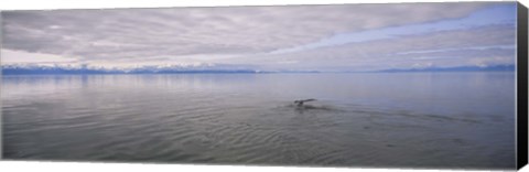 Framed Clouds over the sea, Frederick Sound, Alaska, USA Print