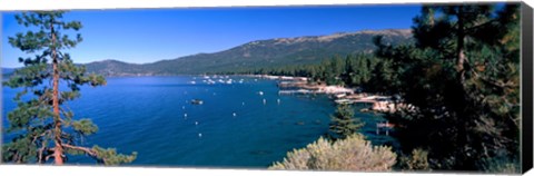 Framed Trees with lake in the background, Lake Tahoe, California, USA Print