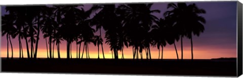 Framed Silhouette of palm trees on the beach, Puuhonua o Honaunau National Historical Park, Big Island, Hawaii, USA Print