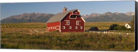Framed Barn in a field with a Wallowa Mountains in the background, Enterprise, Wallowa County, Oregon, USA Print