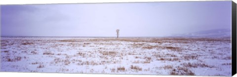 Framed Snow covered landscape in winter, Antelope Flat, Grand Teton National Park, Wyoming, USA Print