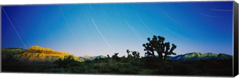 Framed Star trails over Red Rock Canyon National Conservation Area, Nevada, USA Print