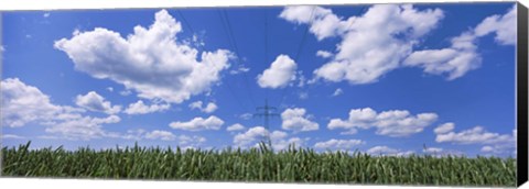 Framed Wheat field and transmission tower, Baden-Wurttemberg, Germany Print