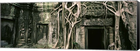 Framed Ruins of Ta Prohm Temple, Angkor, Cambodia Print