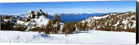 Framed Trees on a snow covered landscape, Heavenly Mountain Resort, Lake Tahoe, California-Nevada Border, USA Print