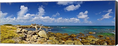 Framed Rocks at the coast, Aruba Print