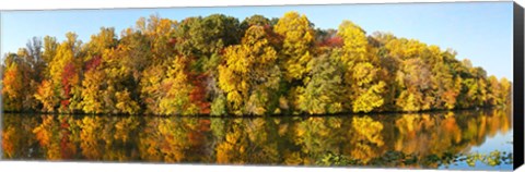 Framed Reflection of trees in a lake, Strawbridge Lake, Moorestown, New Jersey, USA Print