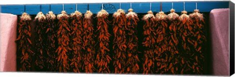 Framed Red peppers drying, New Mexico, USA Print