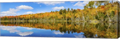 Framed Reflection of trees in a lake, Pete&#39;s Lake, Schoolcraft County, Upper Peninsula, Michigan, USA Print