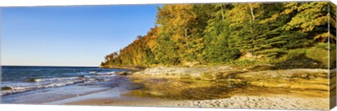 Framed Trees on the beach, Miner&#39;s Beach, Pictured Rocks National Lakeshore, Upper Peninsula, Michigan, USA Print