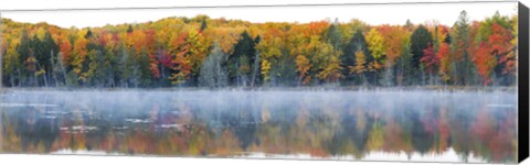 Framed Trees in autumn at Lake Hiawatha, Alger County, Upper Peninsula, Michigan, USA Print