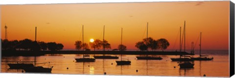 Framed Silhouette of sailboats in a lake, Lake Michigan, Chicago, Illinois, USA Print