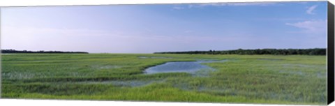 Framed USA, Florida, Jacksonville, Atlantic Coast, Salt Marshes Print