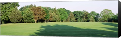 Framed Trees on a golf course, Woodholme Country Club, Baltimore, Maryland, USA Print