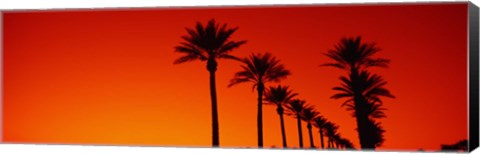 Framed Silhouette of Date Palm trees in a row at dawn, Phoenix, Arizona, USA Print