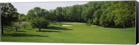 Framed Trees On A Golf Course, Baltimore Country Club, Baltimore, Maryland, USA Print