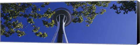 Framed Space Needle Maple Trees Seattle Center Seattle WA USA Print