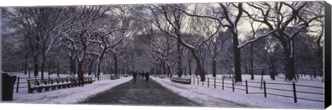 Framed Bare trees in a park, Central Park, New York City, New York State, USA Print