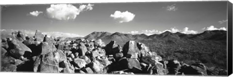 Framed Boulders on a landscape, Saguaro National Park, Tucson, Pima County, Arizona, USA Print