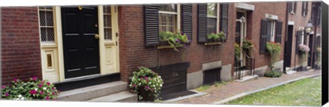 Framed Potted plants outside a house, Acorn Street, Beacon Hill, Boston, Massachusetts, USA Print