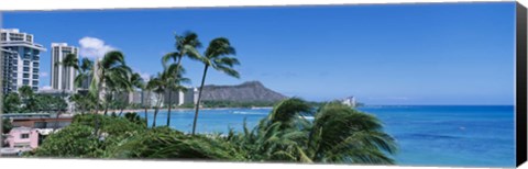 Framed Palm Trees On The Beach, Waikiki Beach, Honolulu, Oahu, Hawaii, USA Print