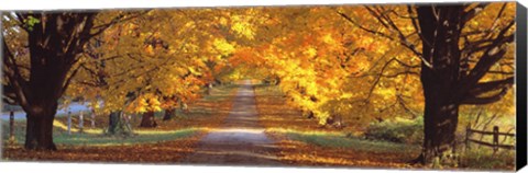 Framed Road, Baltimore County, Maryland, USA Print