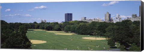 Framed High angle view of the Great Lawn, Central Park, Manhattan, New York City, New York State, USA Print