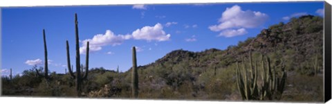 Framed Desert Road AZ Print