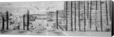 Framed Painting Of A Dog On A Wall, San Francisco, California, USA Print