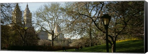 Framed Park In Front Of A Building, Central Park, NYC, New York City, New York State, USA Print