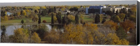 Framed High angle view of trees, Denver, Colorado, USA Print