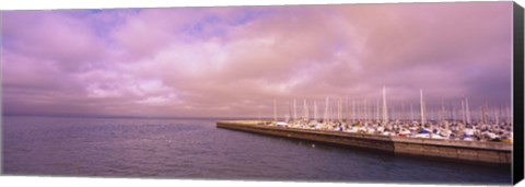 Framed Yachts moored at a harbor, San Francisco Bay, San Francisco, California, USA Print