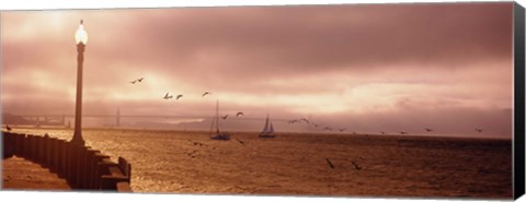 Framed Sailboats in the sea, San Francisco Bay, Golden Gate Bridge, San Francisco, California, USA Print