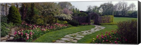 Framed Flowers in a garden, Ladew Topiary Gardens, Monkton, Baltimore County, Maryland, USA Print